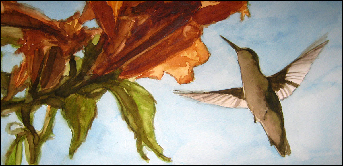 Hummingbird Up North