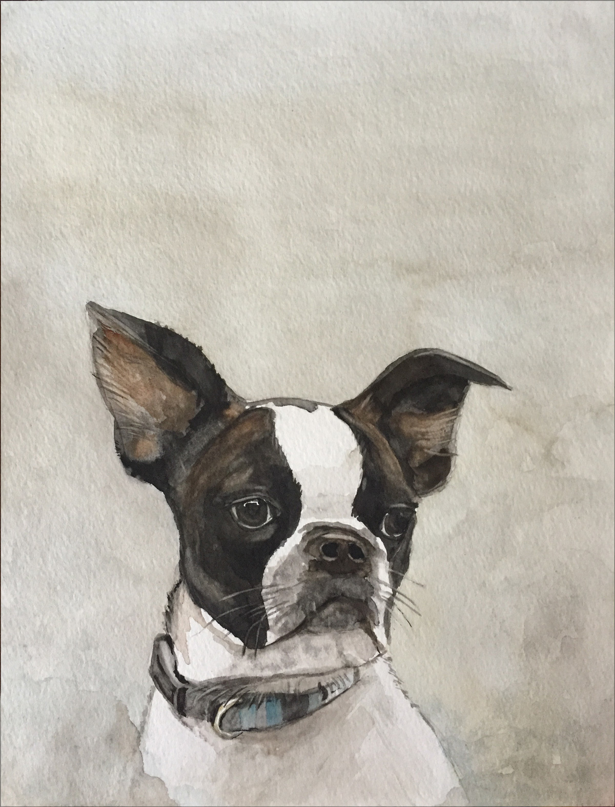 Regal Gatsby