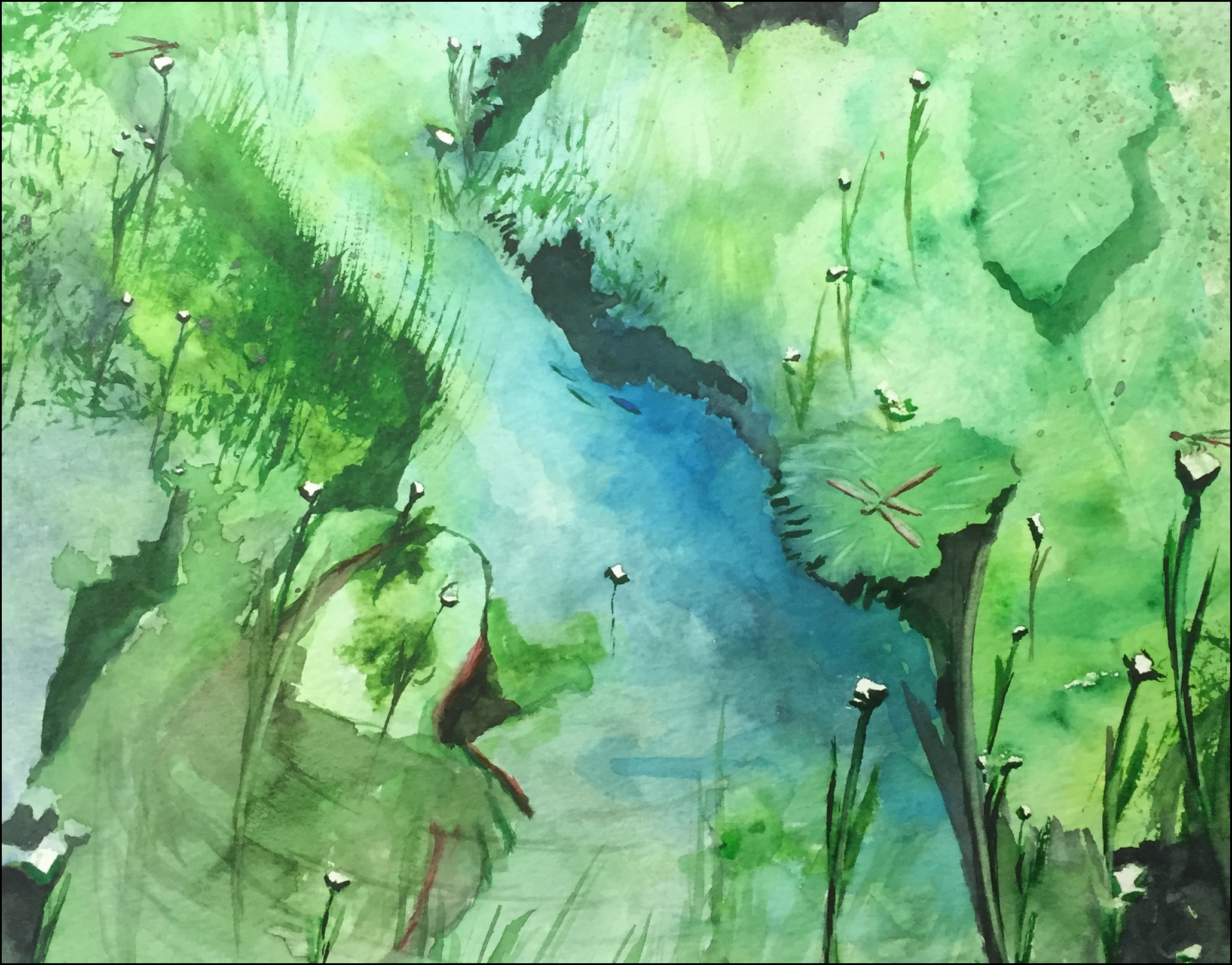 The Frog
