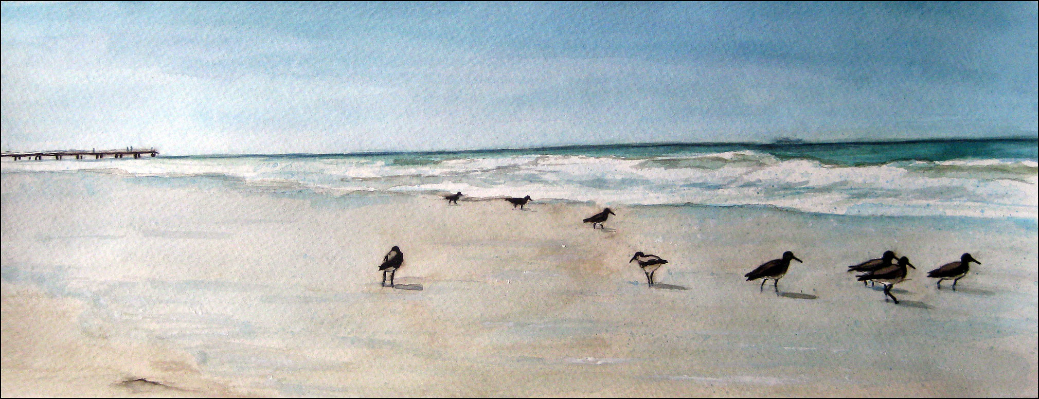 Wading Birds, Anna Maria Island